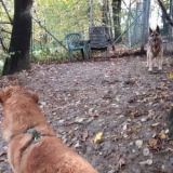 Akiro und Senta